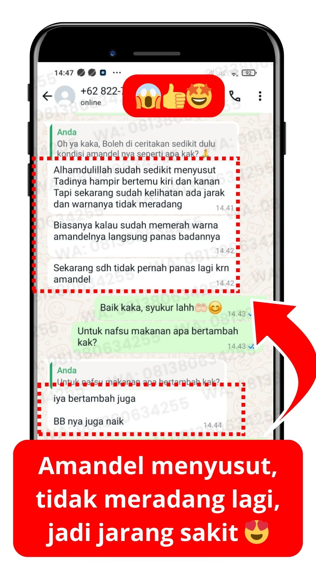 Testimoni pelanggan FLYBEE 13