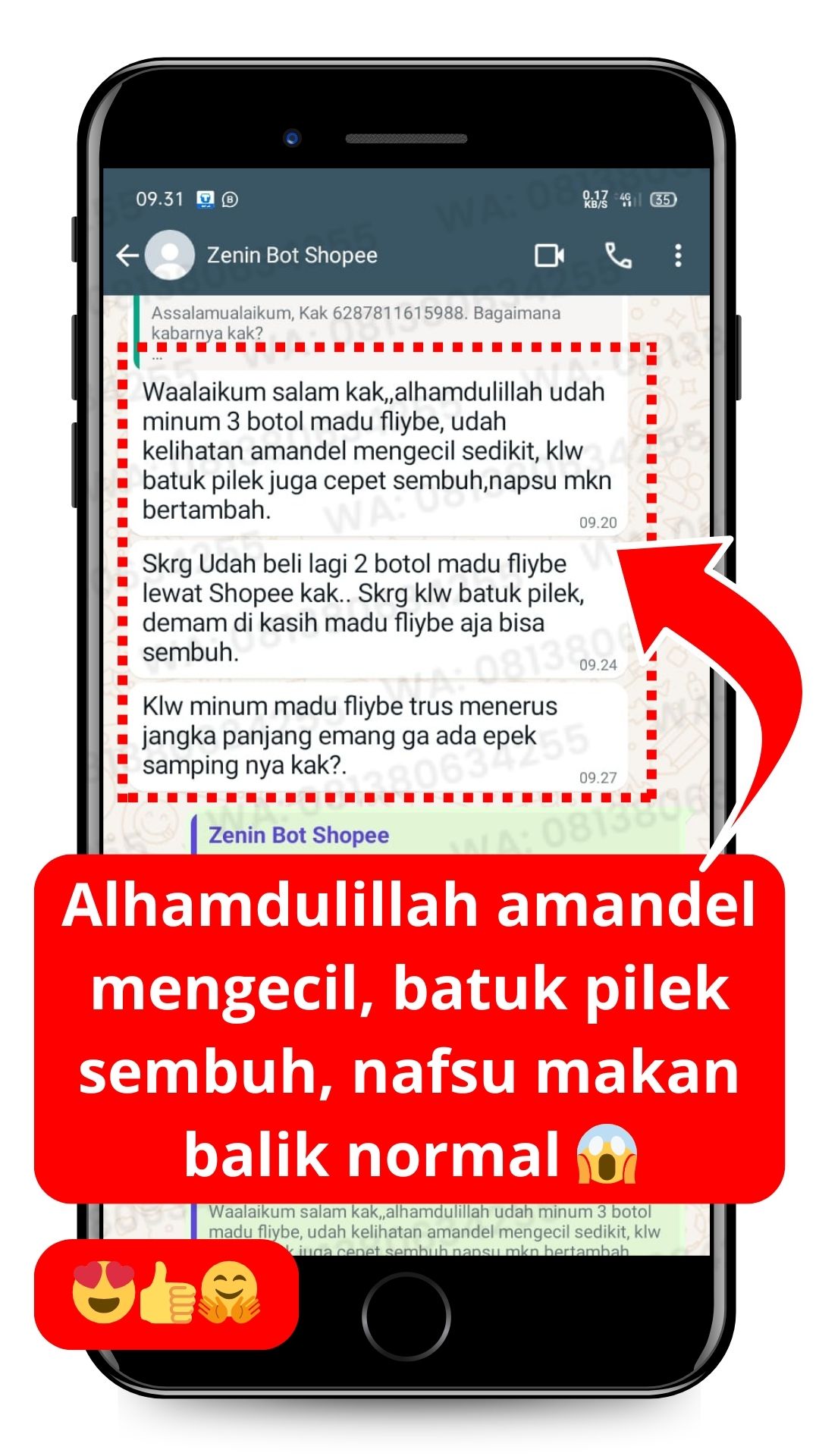 Testimoni pelanggan FLYBEE 6